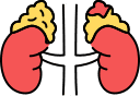 Adrenal Antioxidant & Immune Defense