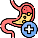 Digestive Microenvironment Balance