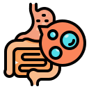 Intestinal Gas & Bloat Reduction