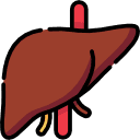 Mitochondrial Co-Factor & Hepatic Antioxidant Defense