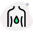 Post-Indulgence Internal Reset