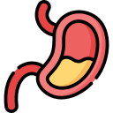 Proteolytic Enzyme Digestive Activity