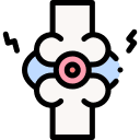 5-LOX Inflammatory Pathway Support