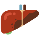 BioPerine®-Mediated Curcumin Bioavailability Enhancement