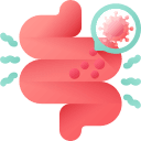 Bulk-Forming Bowel Normalization & Stool Consistency Support