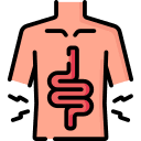 Bulk-Forming Bowel Regularity & Stool Normalization