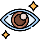 Foveal Zeaxanthin Concentration & Central Visual Acuity