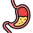 Gastric Emptying Delay & Post-Meal Glycemic Modulation