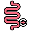 Gut & Bowel Inflammatory Balance