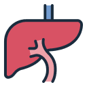 Hepatic VLDL Assembly & Liver Fat Transport