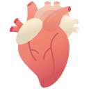 Myocardial Calcium Handling & Cardiovascular Contractility Support