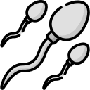 Spermatogenic & Reproductive Microenvironment Support