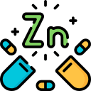 Zinc-RPE Enzyme Support with Copper-SOD Preservation