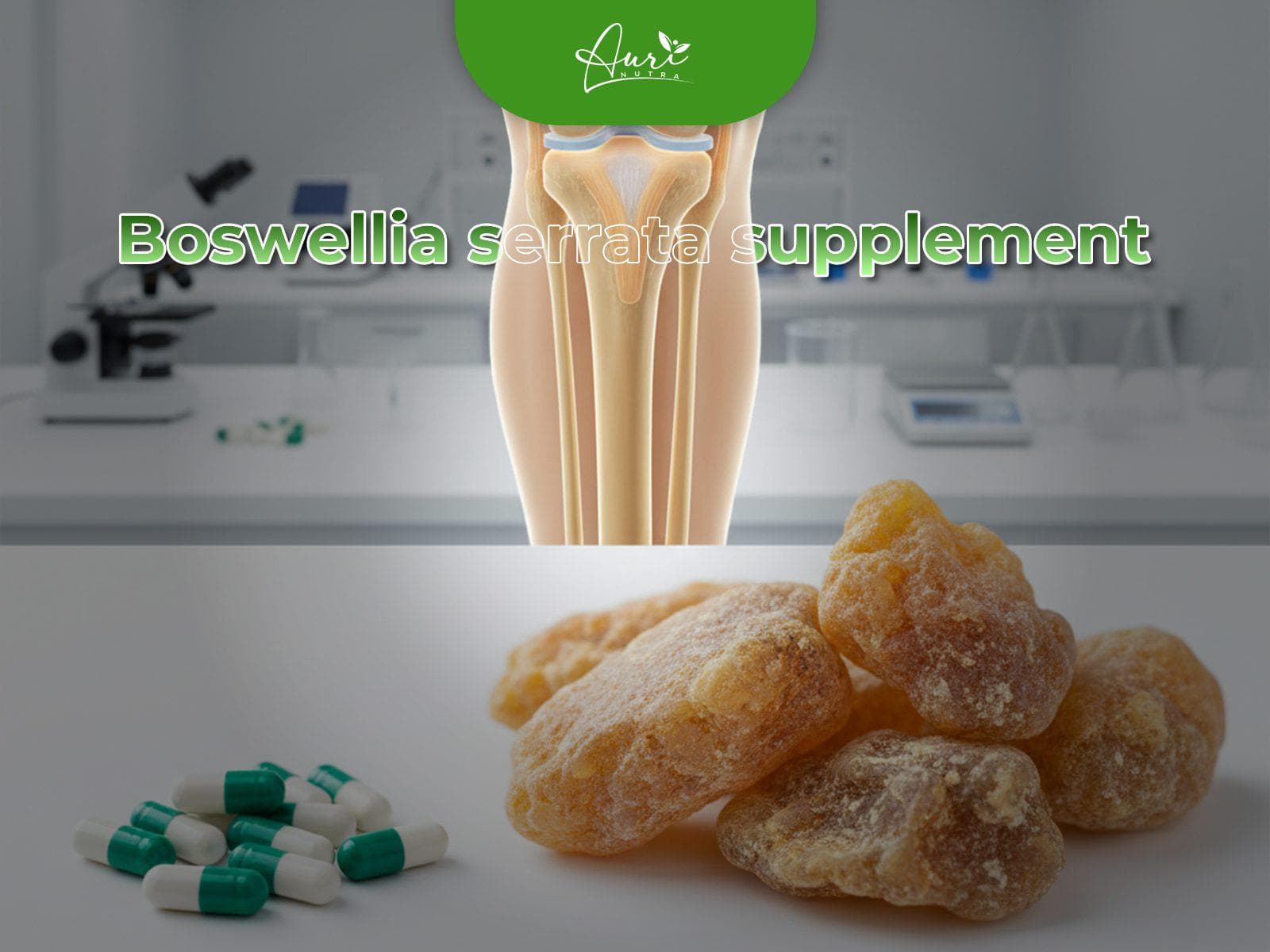 Boswellia serrata supplement for your joint comfort, inflammation support, and improved mobility