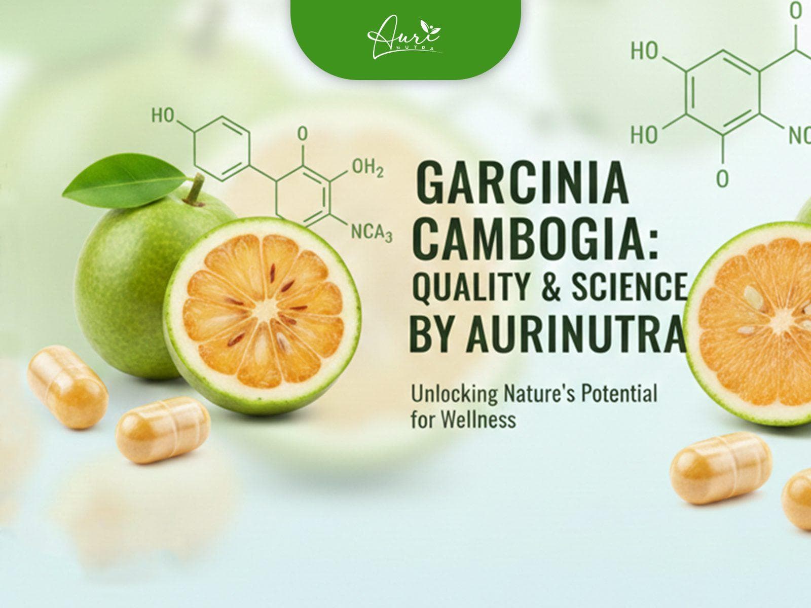 Garcinia Cambogia Supplement