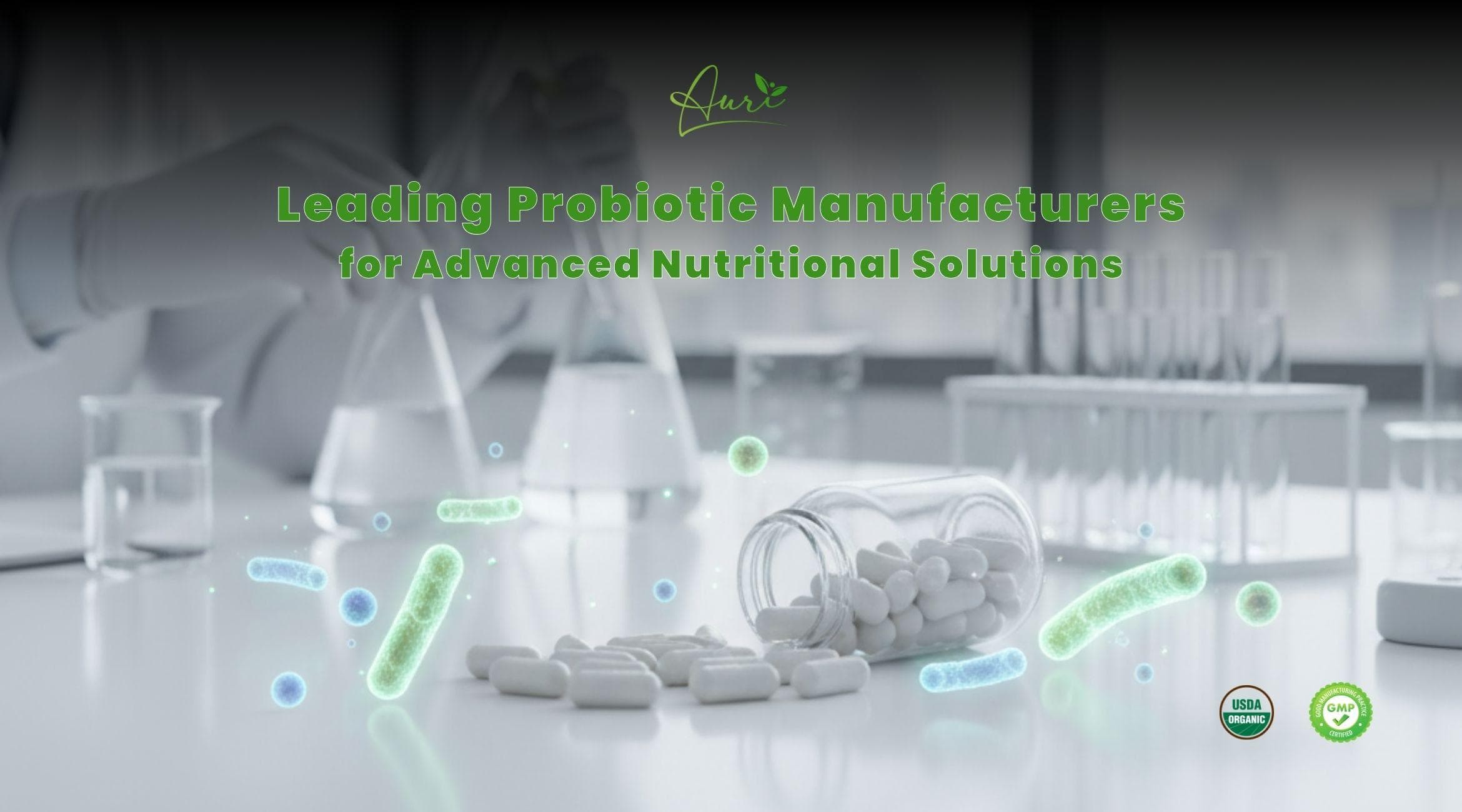 Custom Probiotic Manufacturer USA – GMP-Certified Supplement Manufacturing Partner